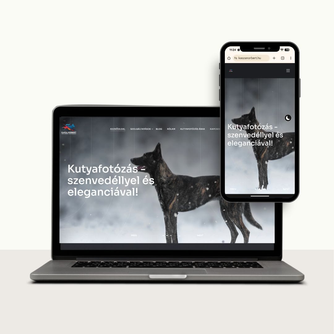WordPress weboldal készítés és webáruház fejlesztés