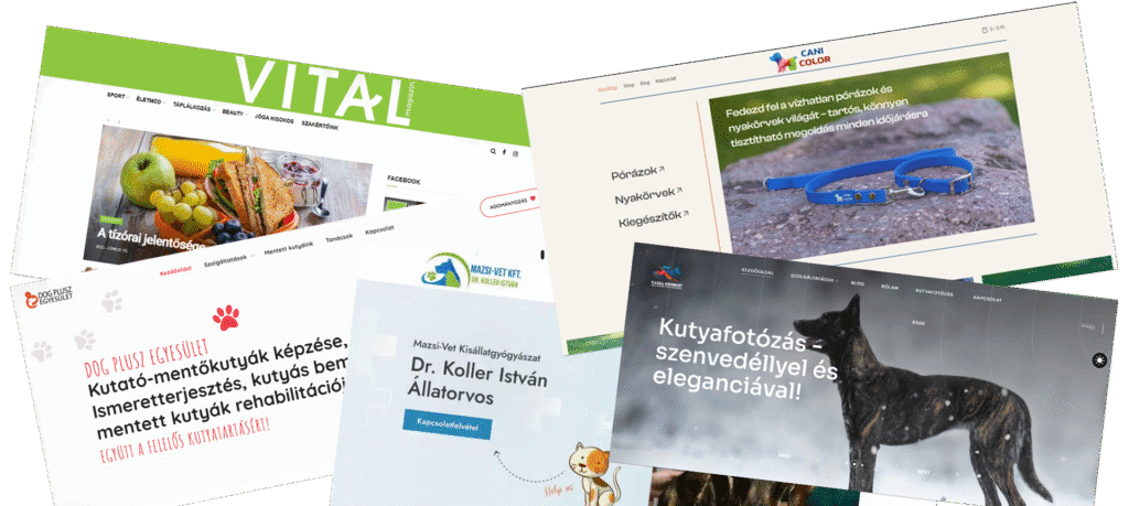 Weboldalra van szükséged? A WordPress weboldal készítés a specialitásunk